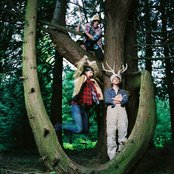 Menomena - List pictures