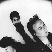 King Missile - List pictures