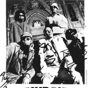 Fishbone - List pictures