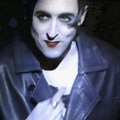 Alan Cumming - List pictures