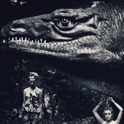 Slits - List pictures