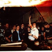 Orchid - List pictures