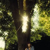 Bill Wyman - List pictures