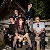 Kitten - List pictures