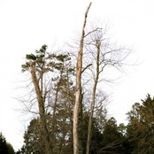 Lewis Vs Clark - List pictures