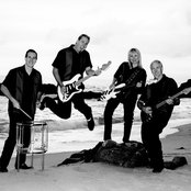 The Surfaris - List pictures