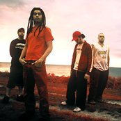 Nonpoint - List pictures