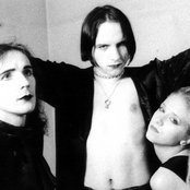 Artrosis - List pictures