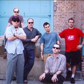 Tortoise - List pictures