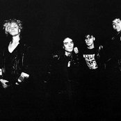 Fair Sex - List pictures