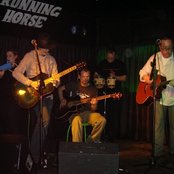 The Amber Herd - List pictures