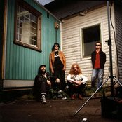 The Nomads - List pictures