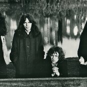 Spirogyra - List pictures