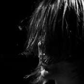 Steve Wilson - List pictures