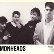 Lemonheads - List pictures