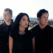 How To Destroy Angels - List pictures