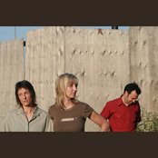 Shade - List pictures