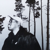 Cunnie Williams - List pictures