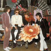 Equipe 84 - List pictures