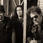Newsted - List pictures