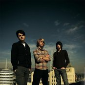 Tickle Me Pink - List pictures