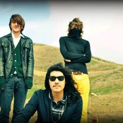 The Seems - List pictures