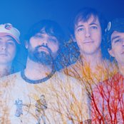 Animal Collective - List pictures