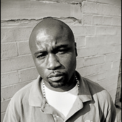 Havoc - List pictures