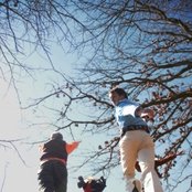 Bombadil - List pictures