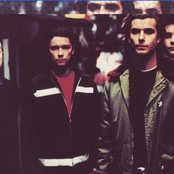 Bush - List pictures