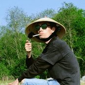 Vena - List pictures