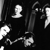 The London Suede - List pictures