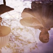 Jason Gray - List pictures