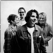 Wilco - List pictures