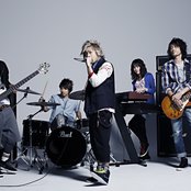 Aqua Timez - List pictures