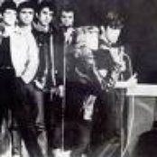 Benny - List pictures