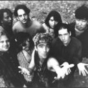 Poi Dog Pondering - List pictures