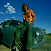 Dennis Wilson - List pictures