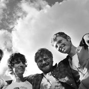 Reptar - List pictures