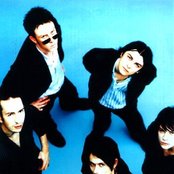 Suede - List pictures