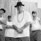 Merauder - List pictures