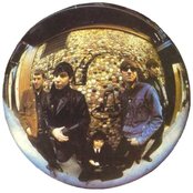 The Animals - List pictures