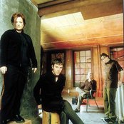 The Toadies - List pictures