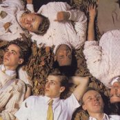 Haircut 100 - List pictures