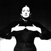 Lene Lovich - List pictures