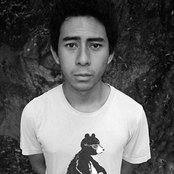 Ark Patrol - List pictures