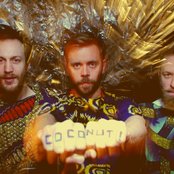 Archie Bronson Outfit - List pictures