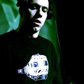 Calyx - List pictures