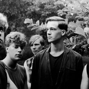 Sad Lovers And Giants - List pictures