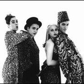 That Dog - List pictures